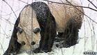 Evening News Online, 01.30.10 (thumbnail)