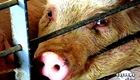 Evening News Online, 02.09.10 (thumbnail)
