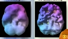 Brain Boosting Changes Body