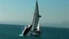 Caught On Tape: Whale Crashes on Boat