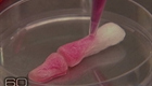 60 Minutes/60 Minutes: Health & Science - Growing Body Parts (thumbnail)