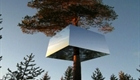 Screenshot of Visit Sweden's 'Treehotel'