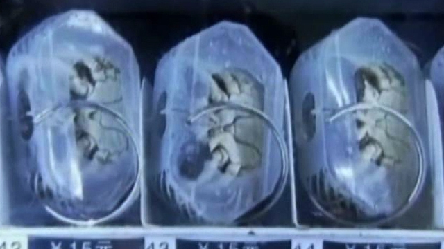 Chinese Vending Machine Sells Live Crabs