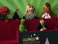 The Muppets get star on Hollywood Walk of Fame