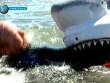 The Mythbusters Vs. The Sharks