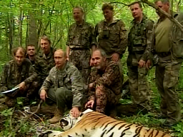 Putin Tranquilizes Tigress