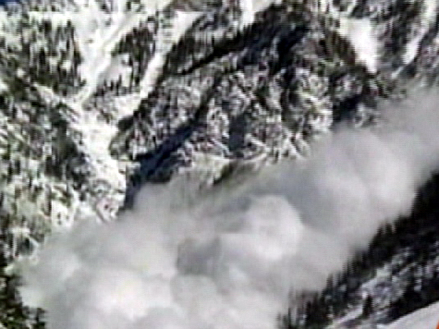 How To Survive An Avalanche