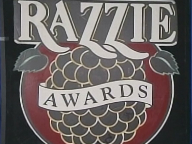 Razzie Awards The Worst Of '08
