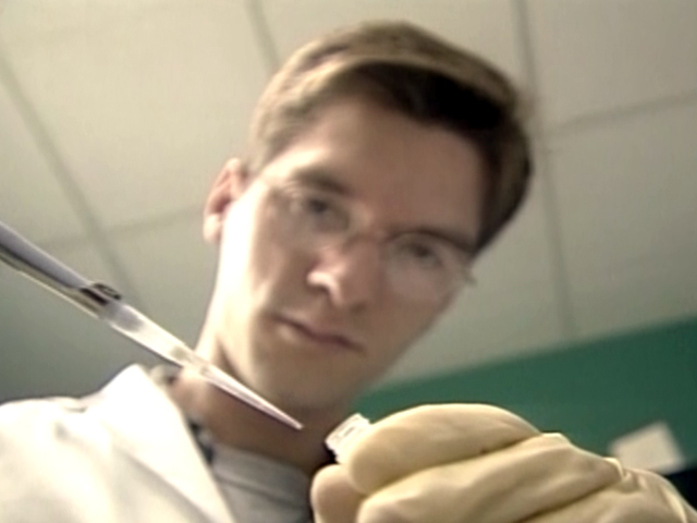 New Day For Stem Cell Study