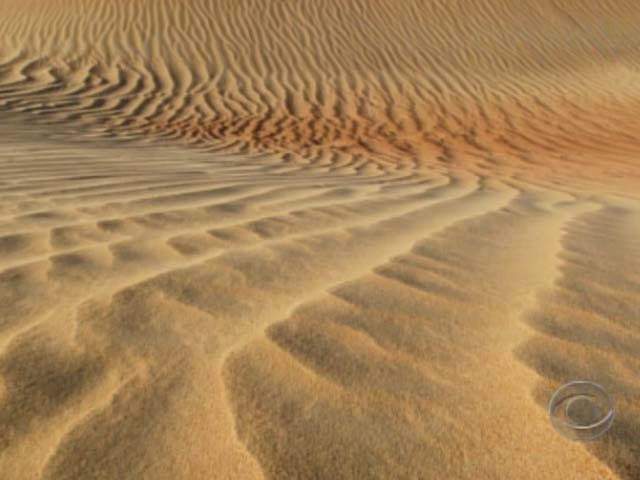 Fast Draw: Lessons Of Sand