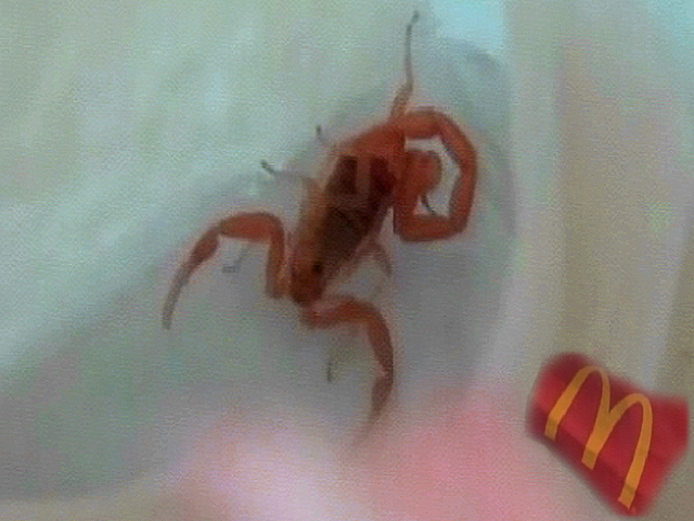 McScorpion