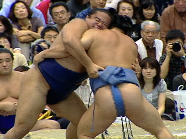 The Skinny on Sumo