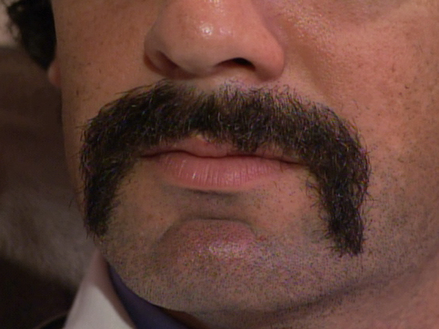 Mustache Mania