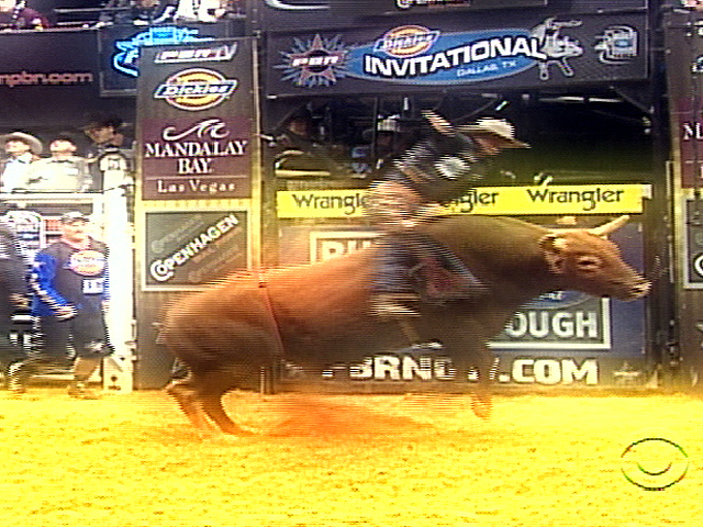 Bull-Riding, Sport Rising