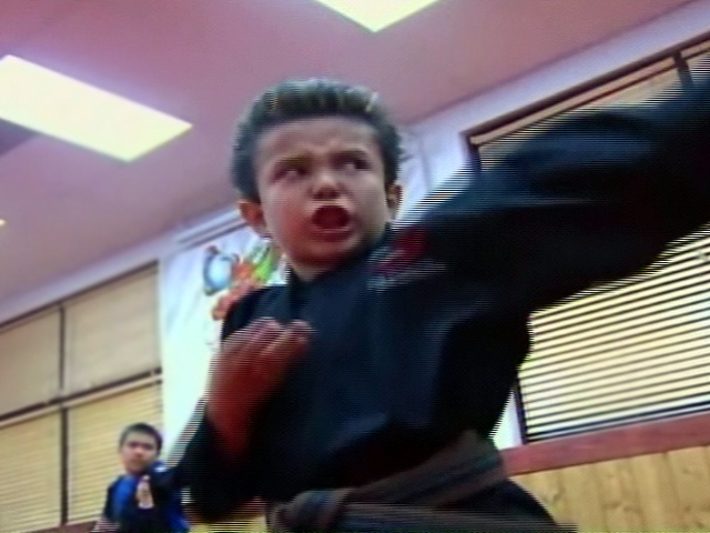 6-Year-Old Karate Kid