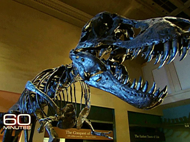 B-Rex