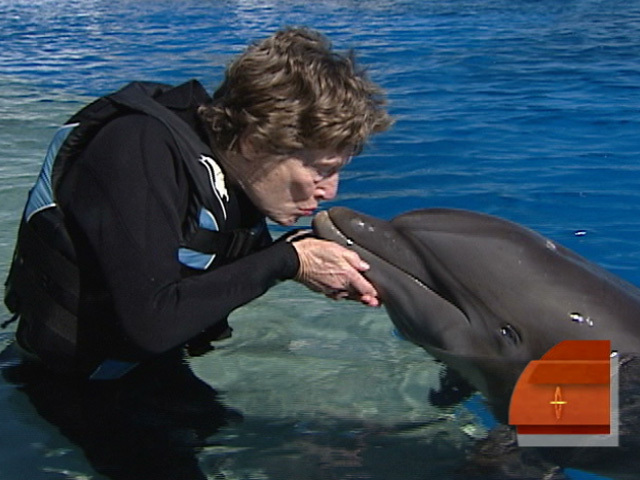 Super Susie Swims with Dolphins
