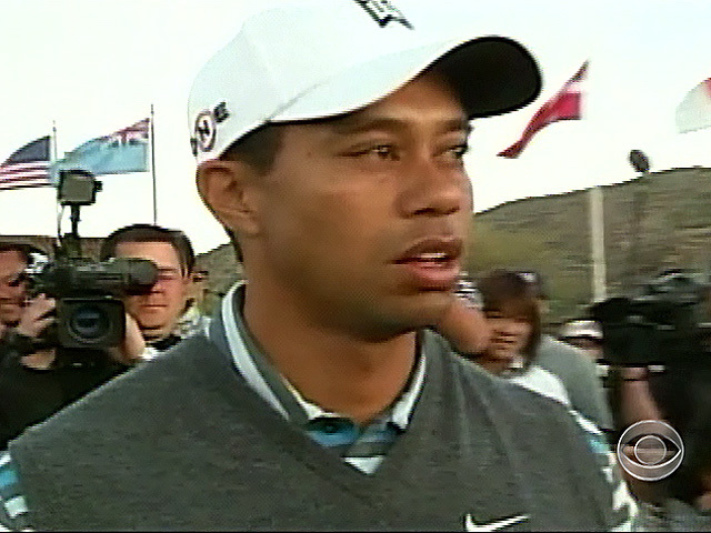 Tiger's Troubles