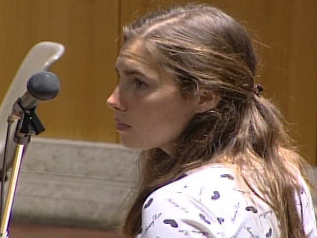 Amanda Knox's Final Summations