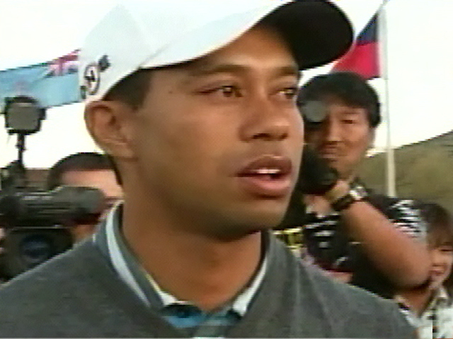 Repairing Tiger's Image