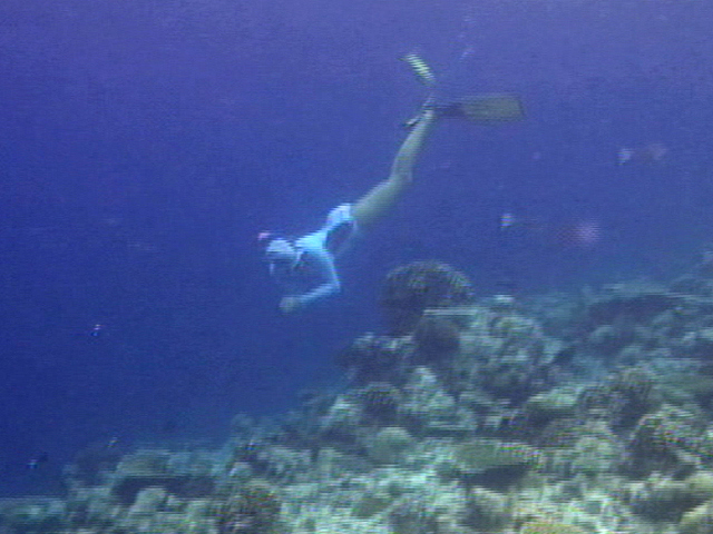 Dangers of Rising Sea Temperature