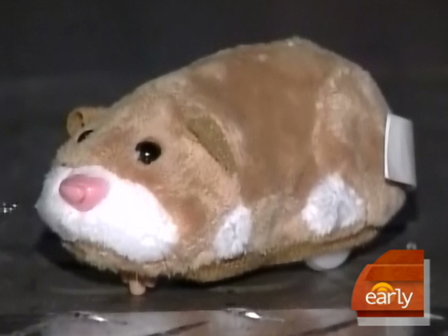 Zhu Zhu Pets Dangerous for Kids?