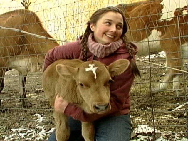 Bovine Intervention at Buttercup Farm