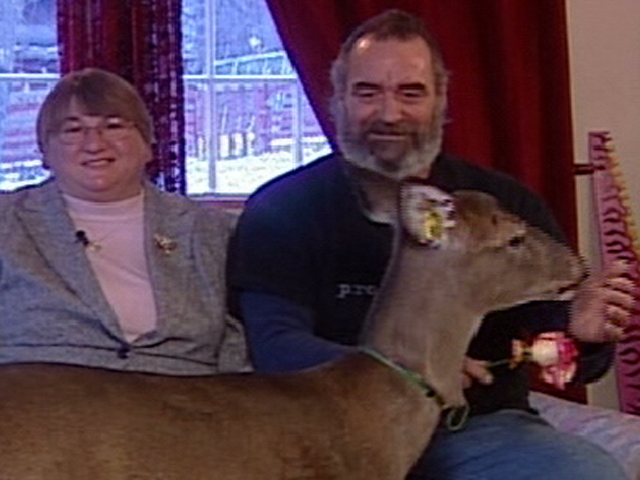Ohio Family Lives with Deer