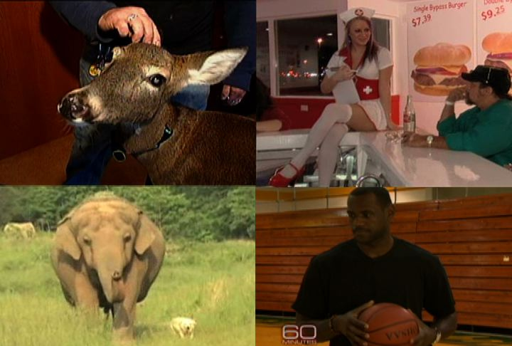 CBS News Viral Video '09