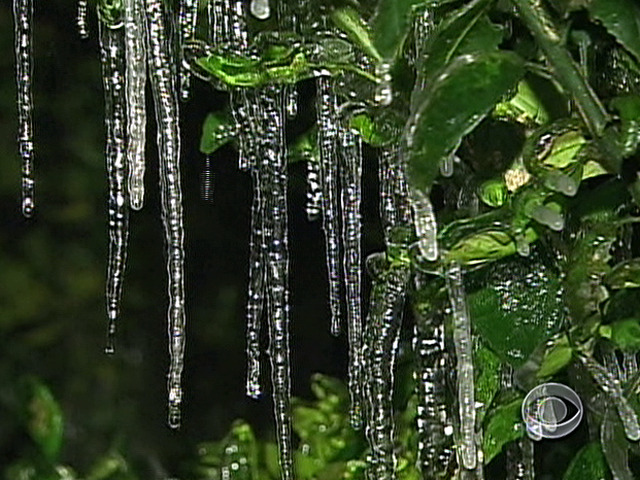 The Fight to Save Cold Crops