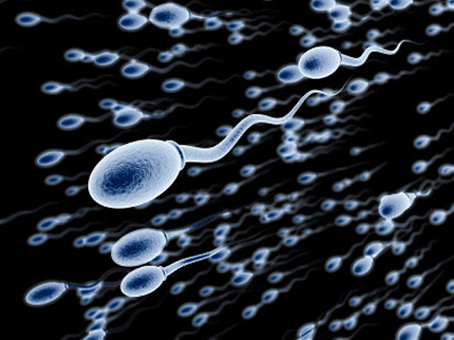 The Truth about Male Infertility