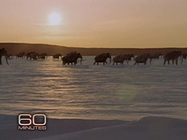 60 Minutes, 01.10.10
