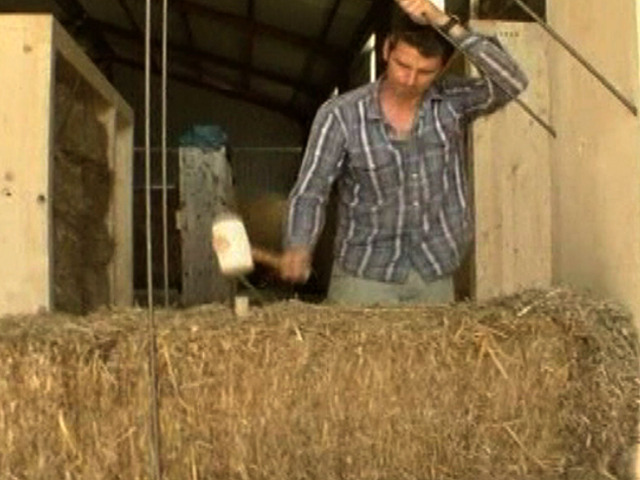 Real-Life Straw House Safe for 'Little Pigs'