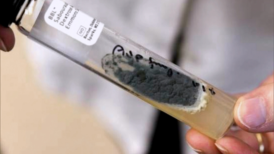 60 Minutes Overtime : The contaminated lab that produced lethal drugs'