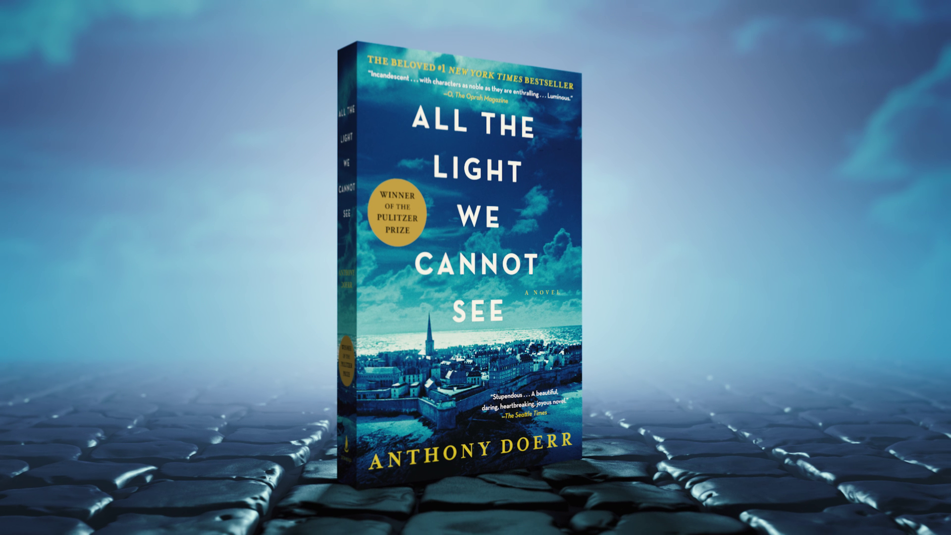 all the light you cannot see book