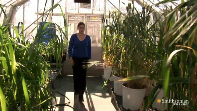 Seed Hunter - Saving Our Crops