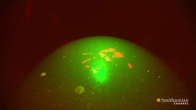 primetime: Catching Killers: Fingerprints - How to Dust for Fingerprints