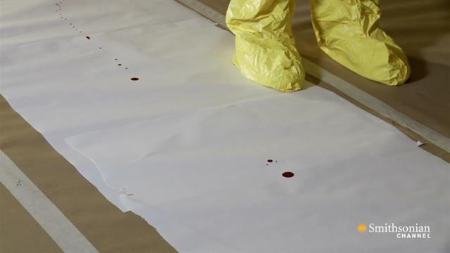 primetime: Catching Killers: Blood Spatter - How to Find Bloodstains