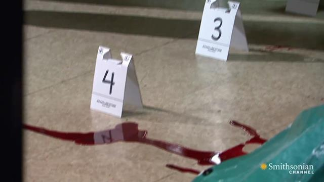 primetime: Catching Killers: Blood Spatter - Blood Spatter 101