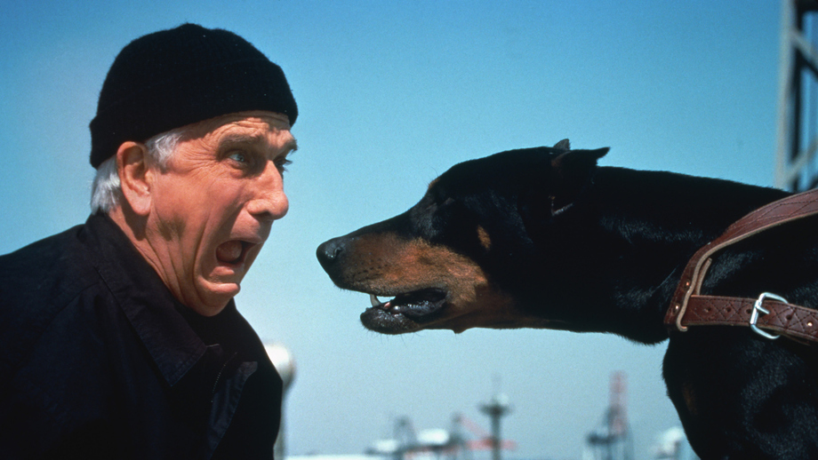 The Naked Gun The Smell Of Fear Watch Full Movie On Paramount Ireland