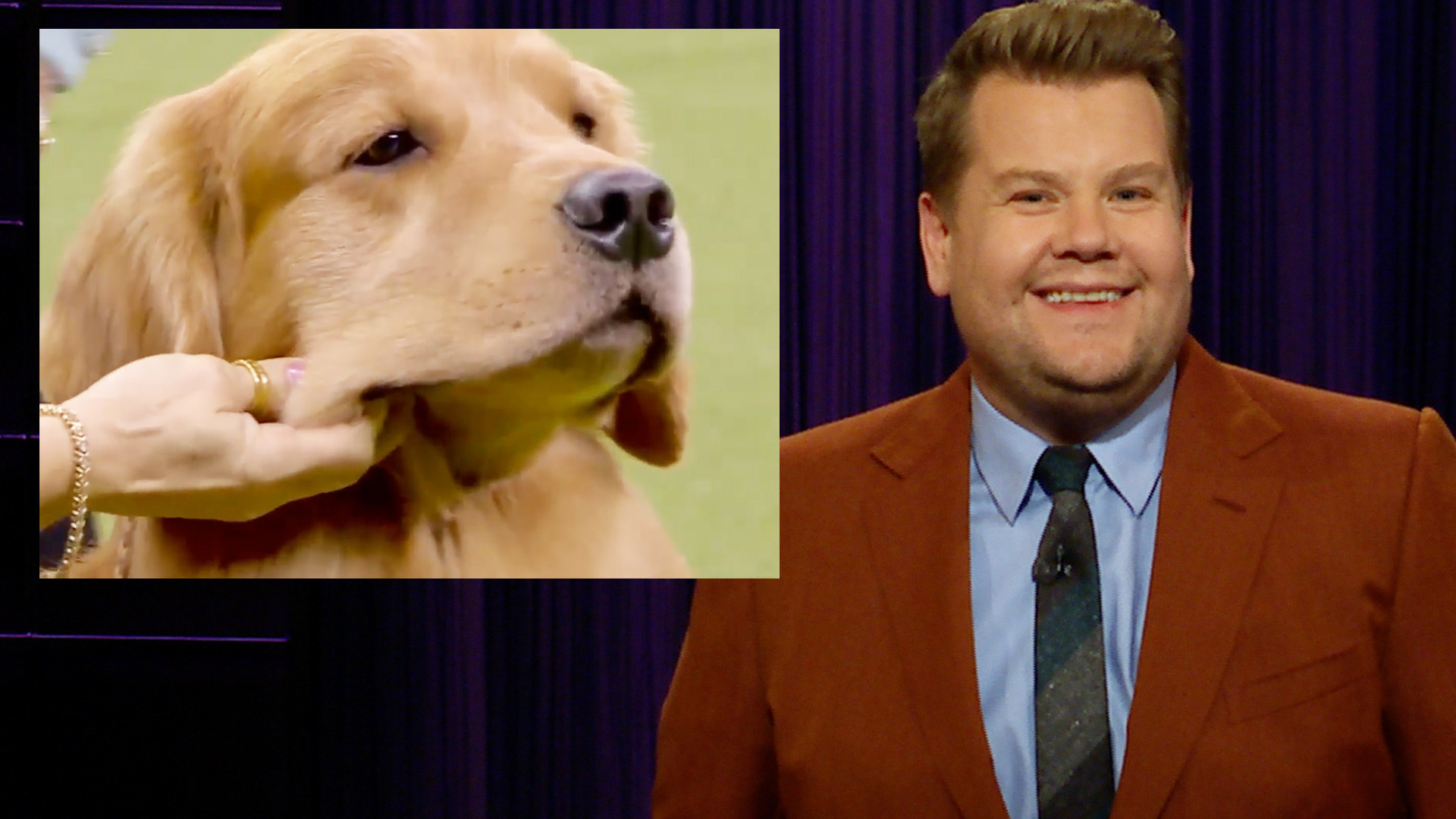Watch The Late Late Show With James Corden We Re Angry About Daniel The Golden Retriever S Loss Full Show On Cbs