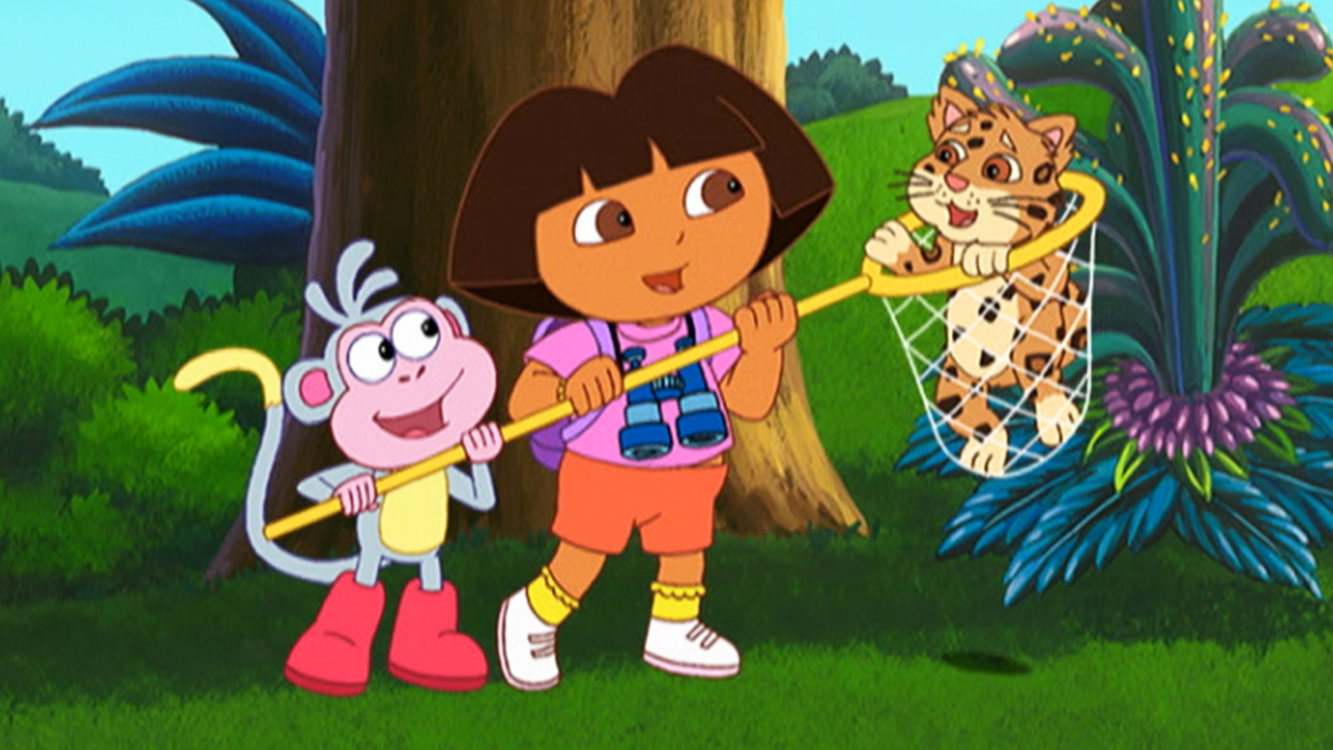 Watch Dora the Explorer Season 3 Episode 17: Dora the Explorer - Rescue ...