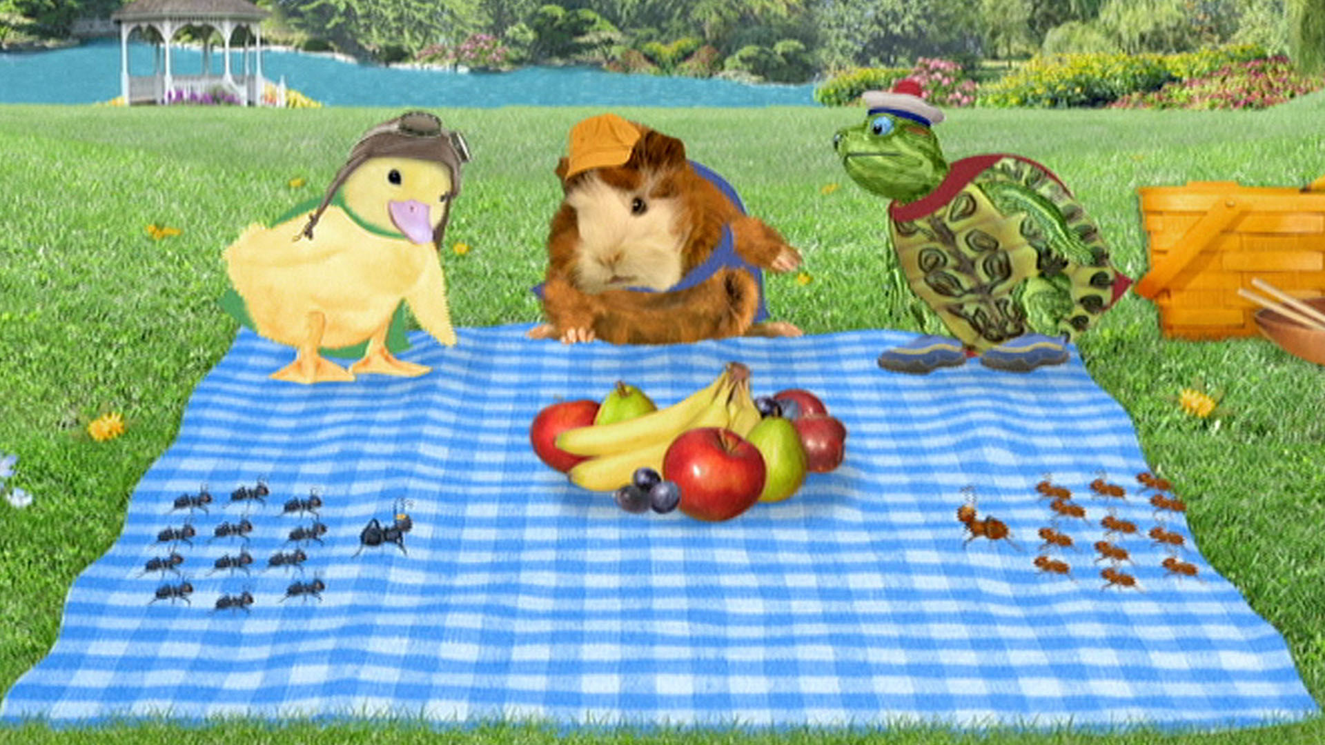 Watch Wonder Pets Season 1 Episode 14 Save The Camelsave The Ants