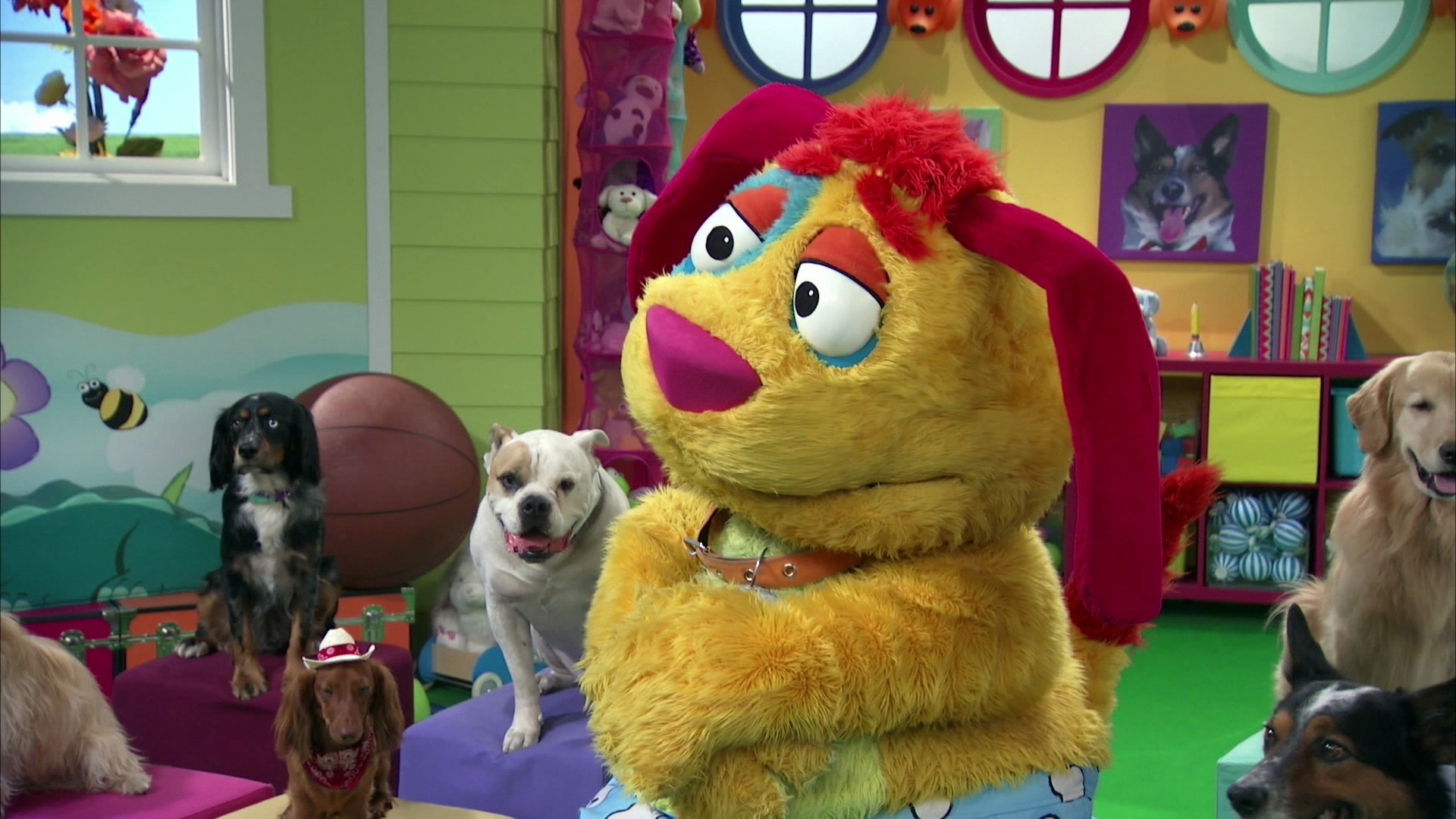 Watch Mutt & Stuff Season 2 Episode 20 Construction Dogs! Full show