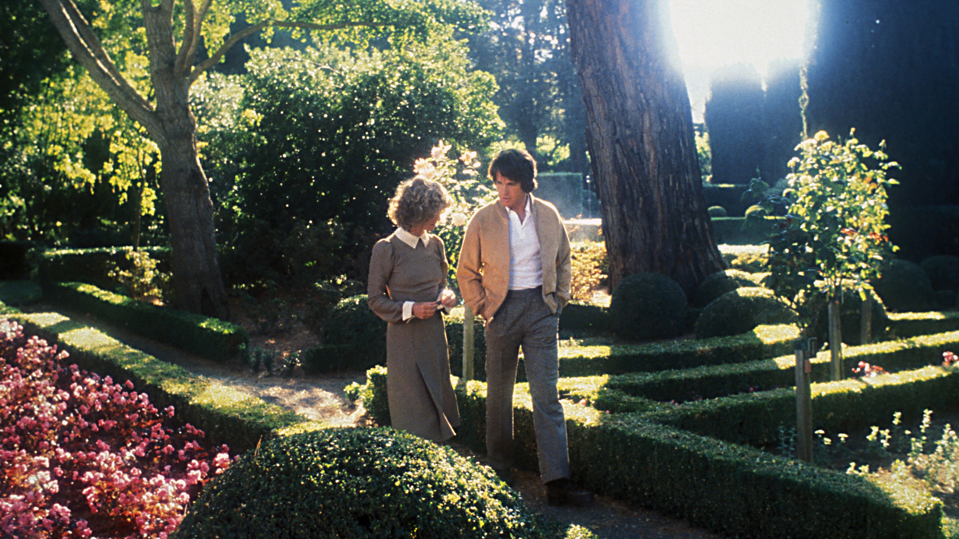 Der Himmel soll warten Ganzen Film auf Paramount+ Deutschland ansehen