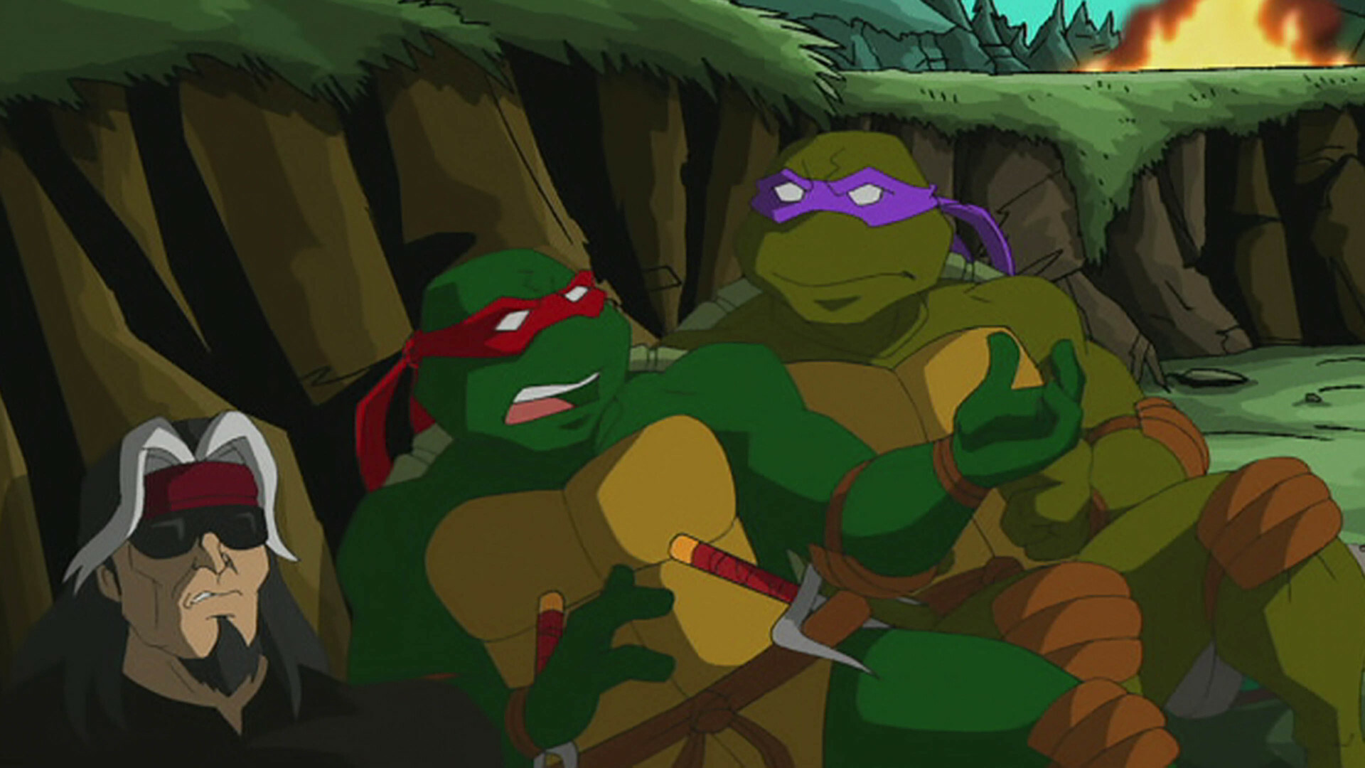 Watch Teenage Mutant Ninja Turtles Season 3 Episode 10: H.A.T.E ...