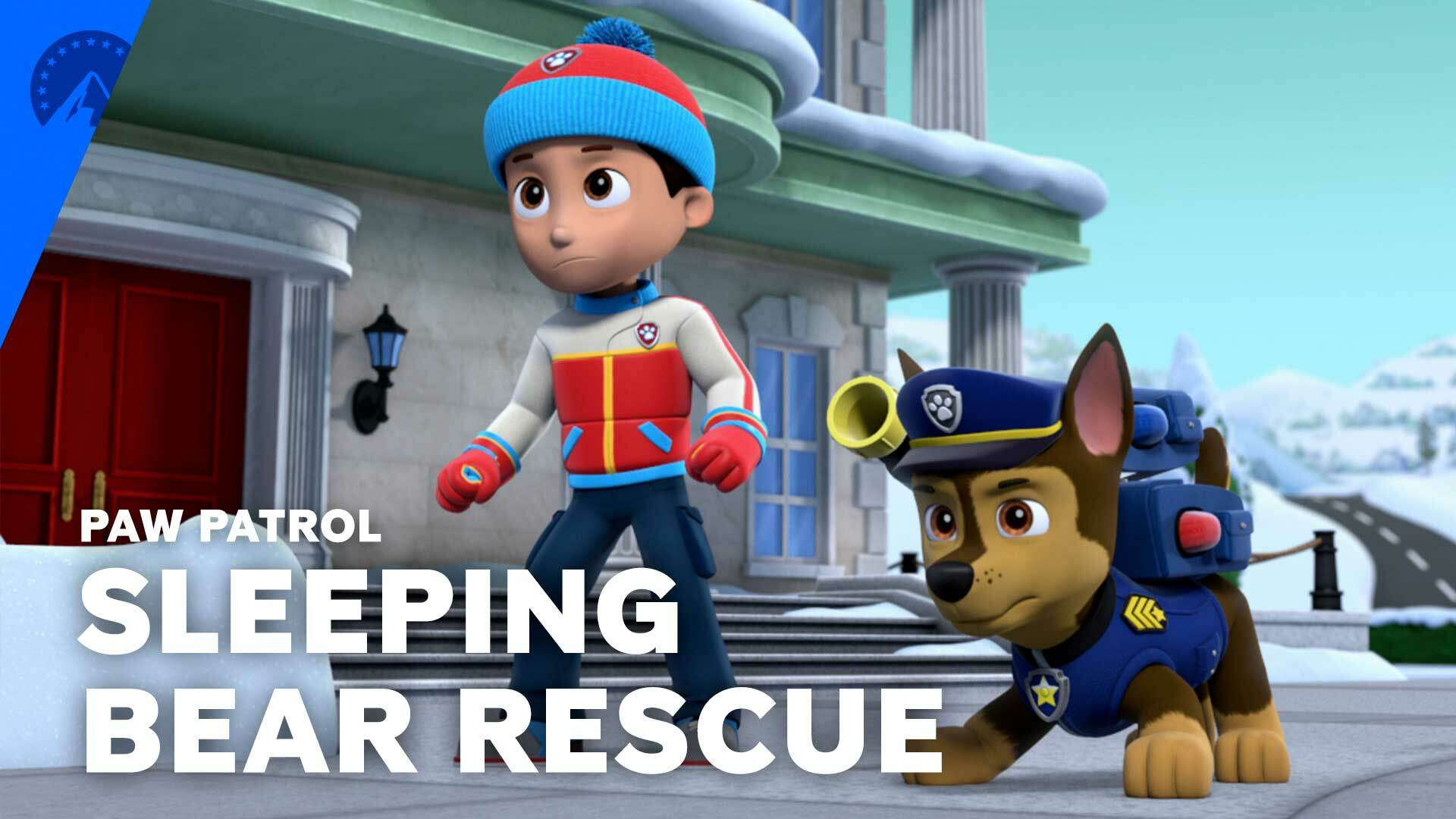 Paw patrol deals bear