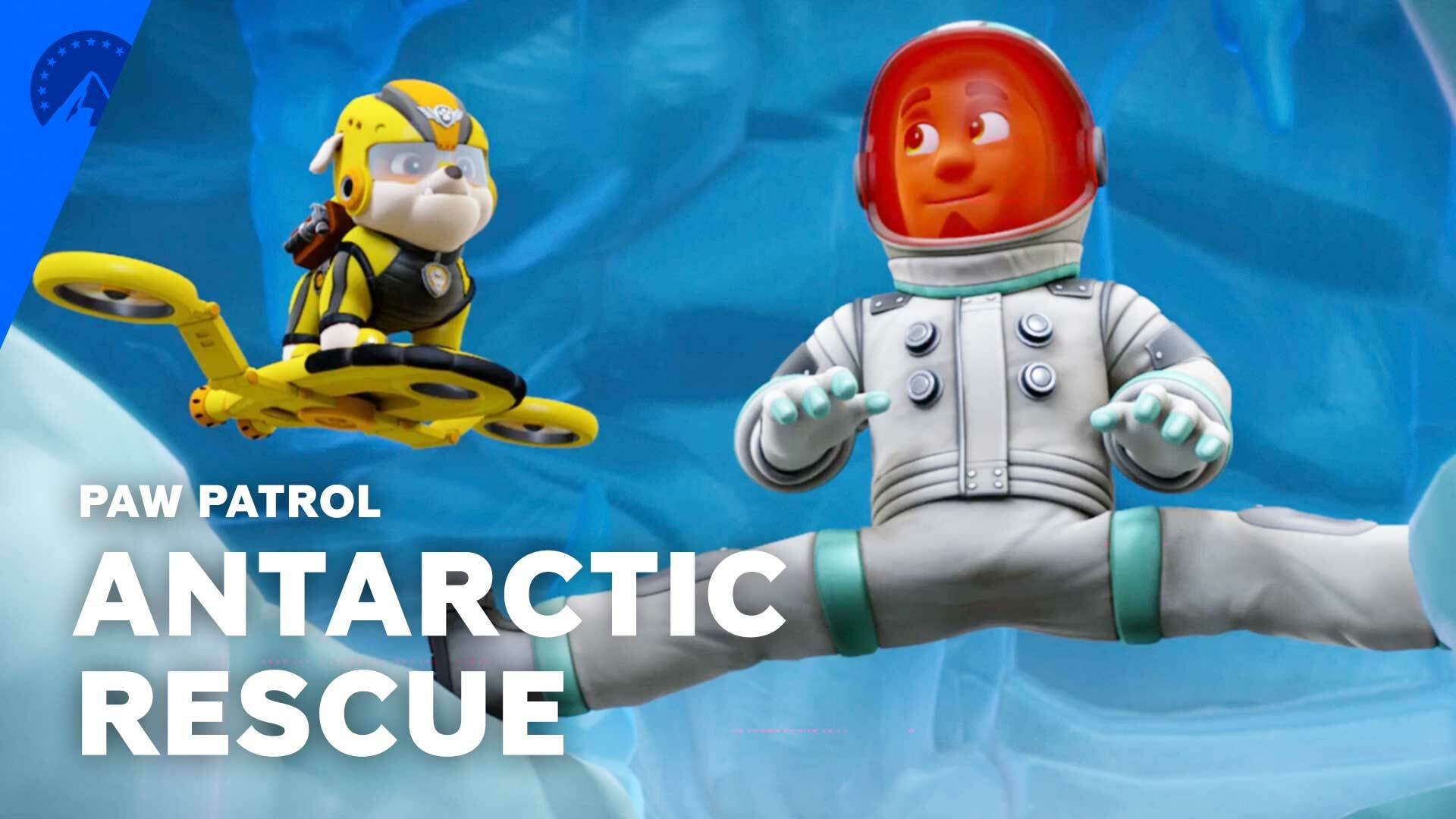 Arctic paw patrol discount