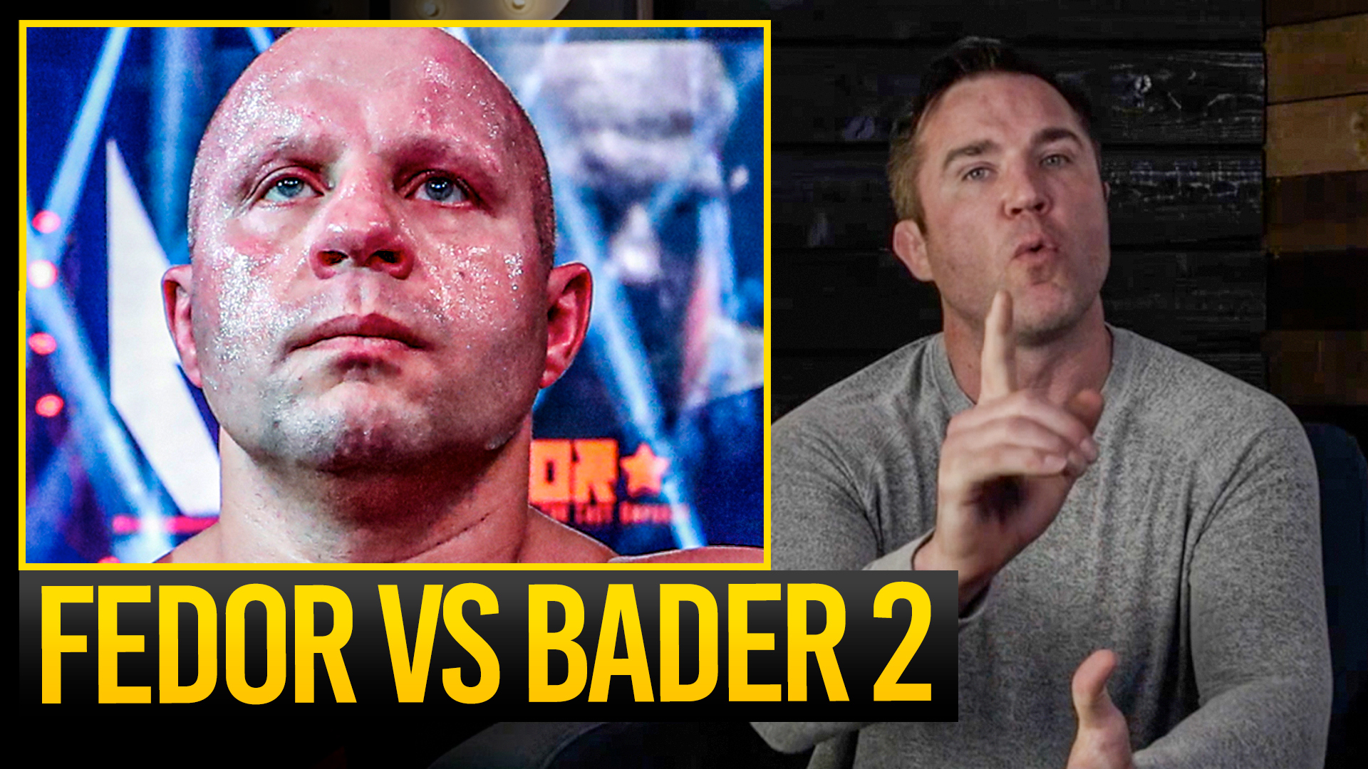 Chael vs fedor