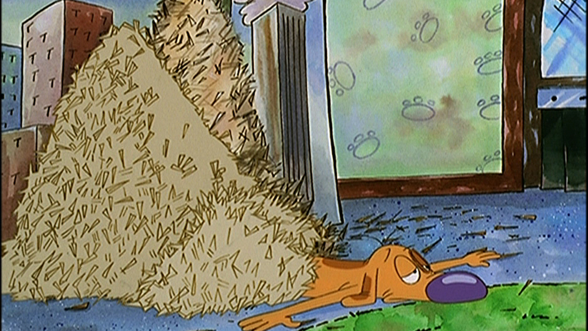 Gato Perro Conejo Rancio